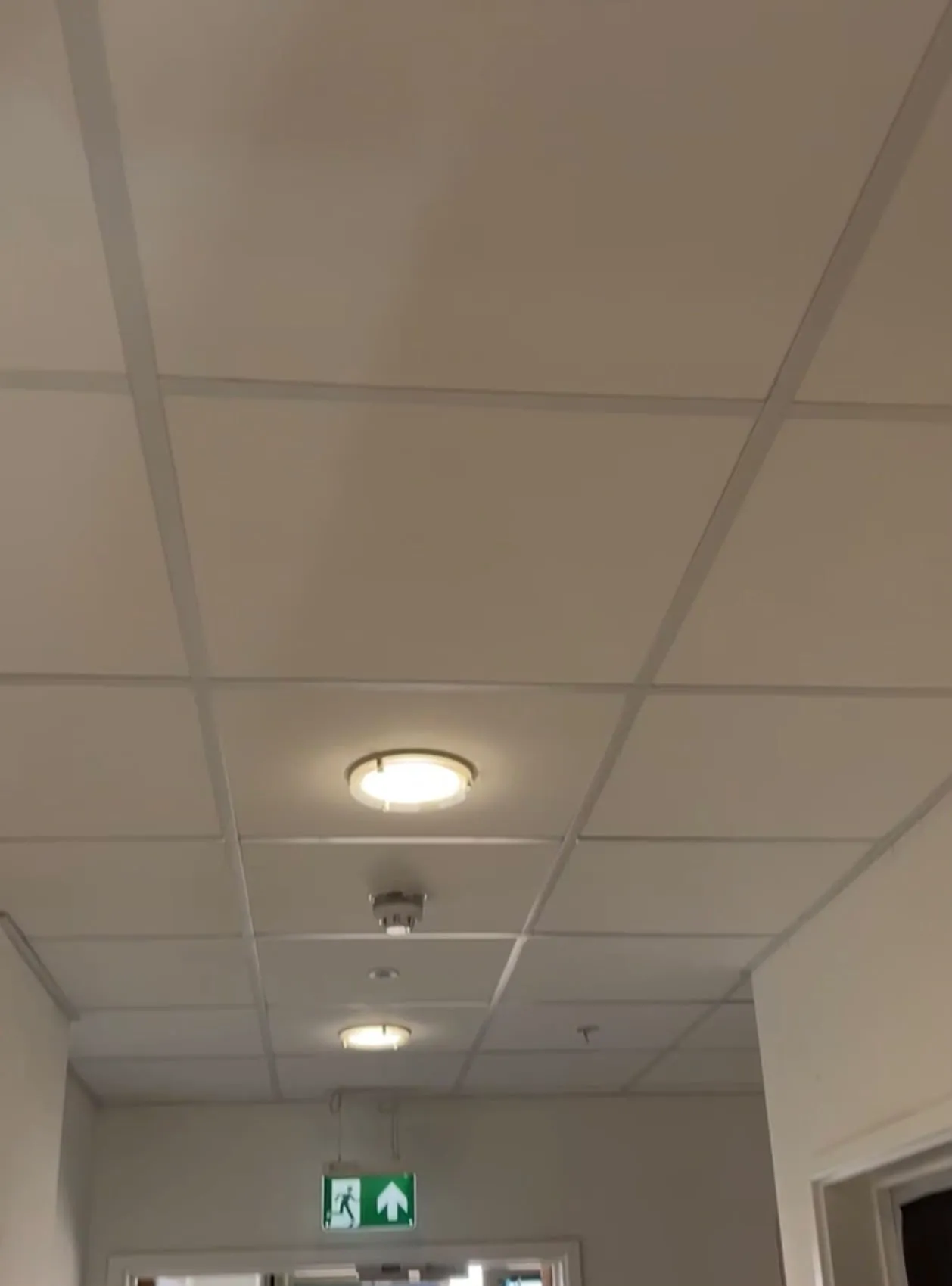 Corridor grid ceiling with emergency lighting