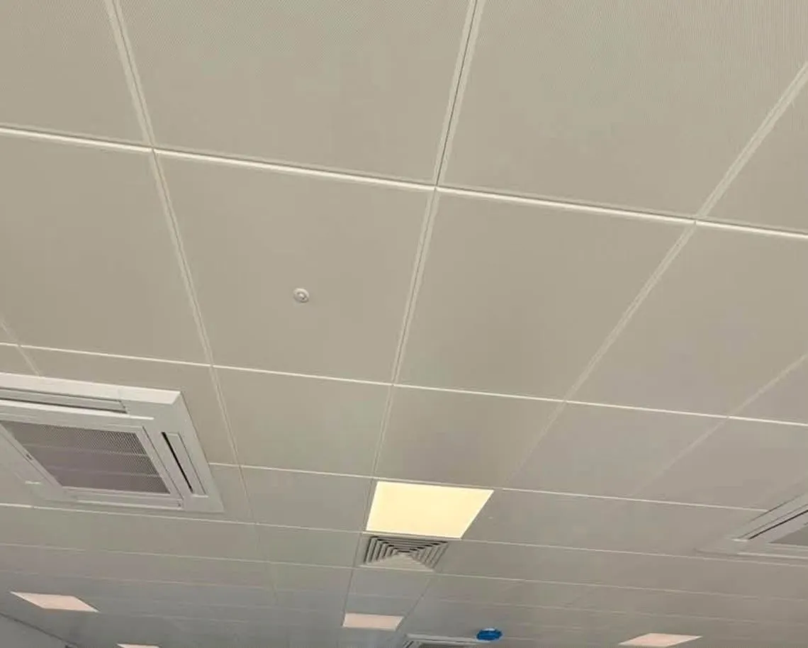 Finished grid ceiling, open-plan floor